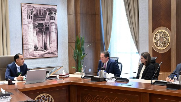 رئيس مجلس الوزراء 