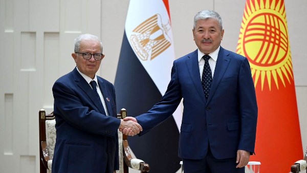 نائب رئيس مجلس الوزراء