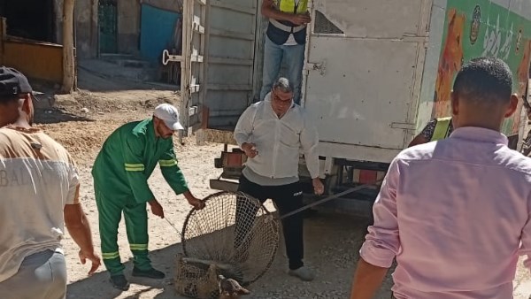 حملات ببطرية