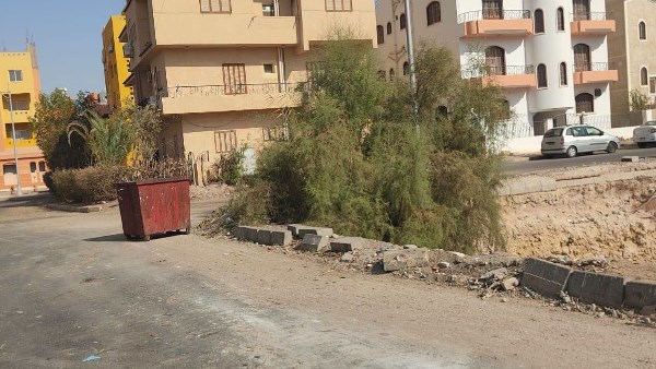 صورة موضوعية