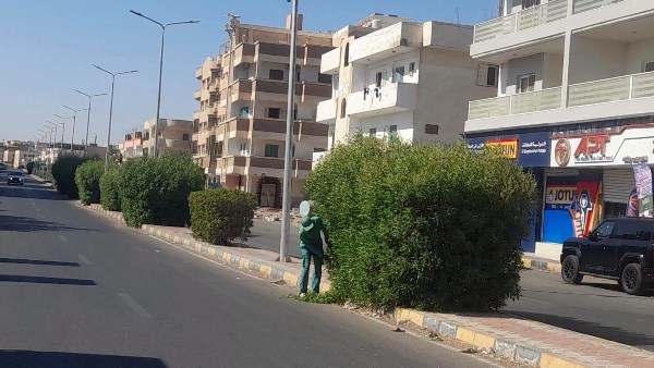 صورة موضوعية