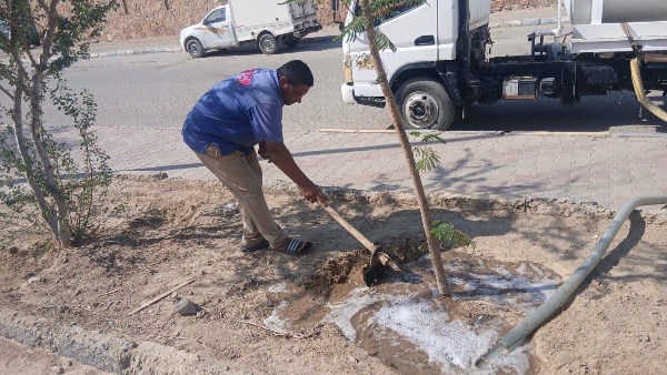 صورة موضوعية