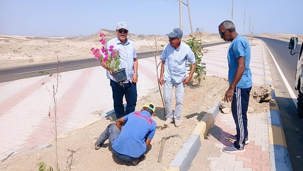 صورة موضوعية