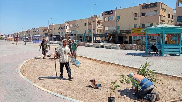 صورة موضوعية