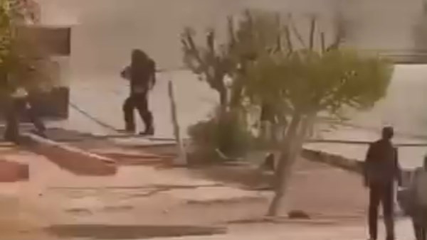 صورة موضوعية 