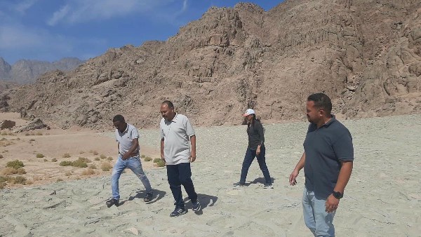 صورة موضوعية