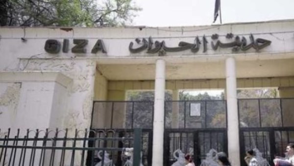حديقة الحيوان 