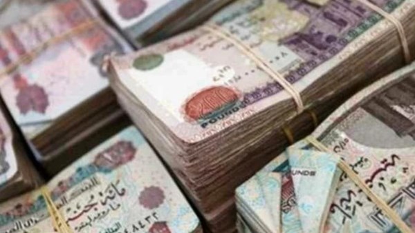 بسبب النفقة.. 27 خدمة حكومية تتوقف عن المتخلفين عن السداد