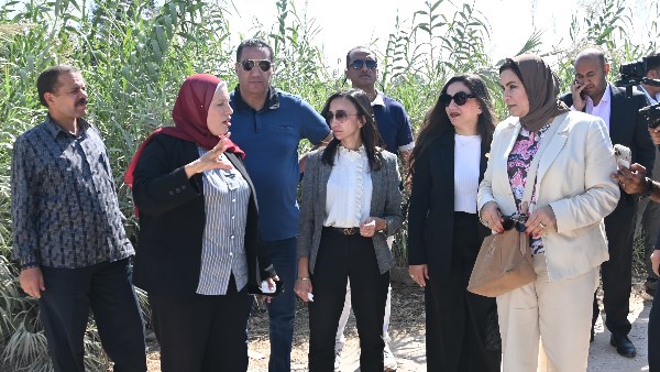 محافظ البحيرة
