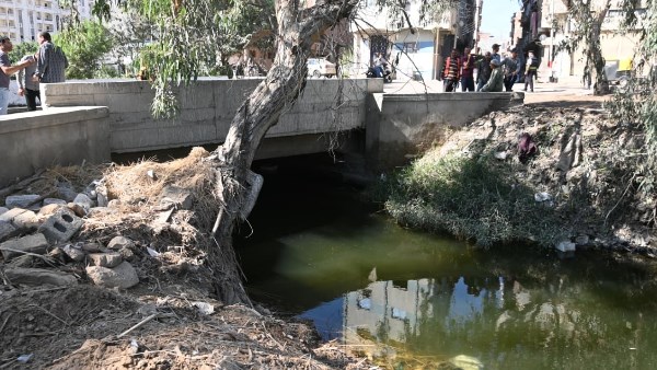 محافظ البحيرة