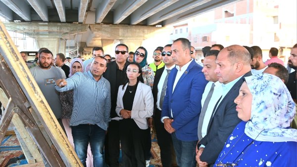 محافظ البحيرة
