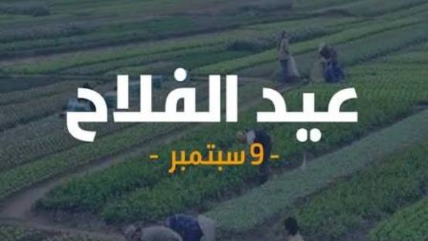 عيد الفلاح المصري.. حكاية وطن تبدأ من الحقل