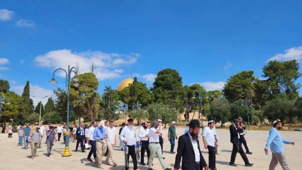 أرشيفية