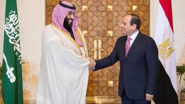 أرشيفية 