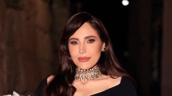 الفنانة عبير نعمة