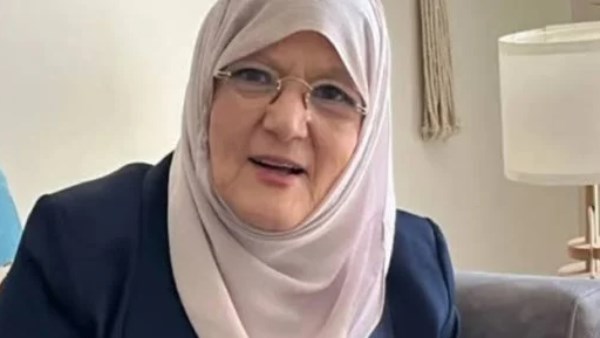 شمس البارودي