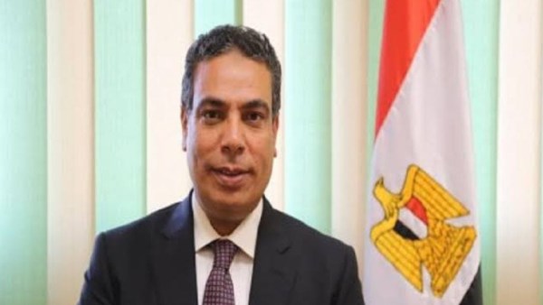 د. عادل عبدالغفار