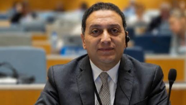 المستشار محمد عادل