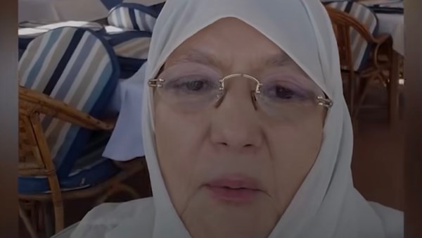شمس البارودي 
