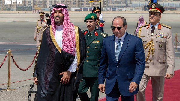 جانب من الاستقبال