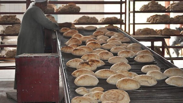 أرشيفية 