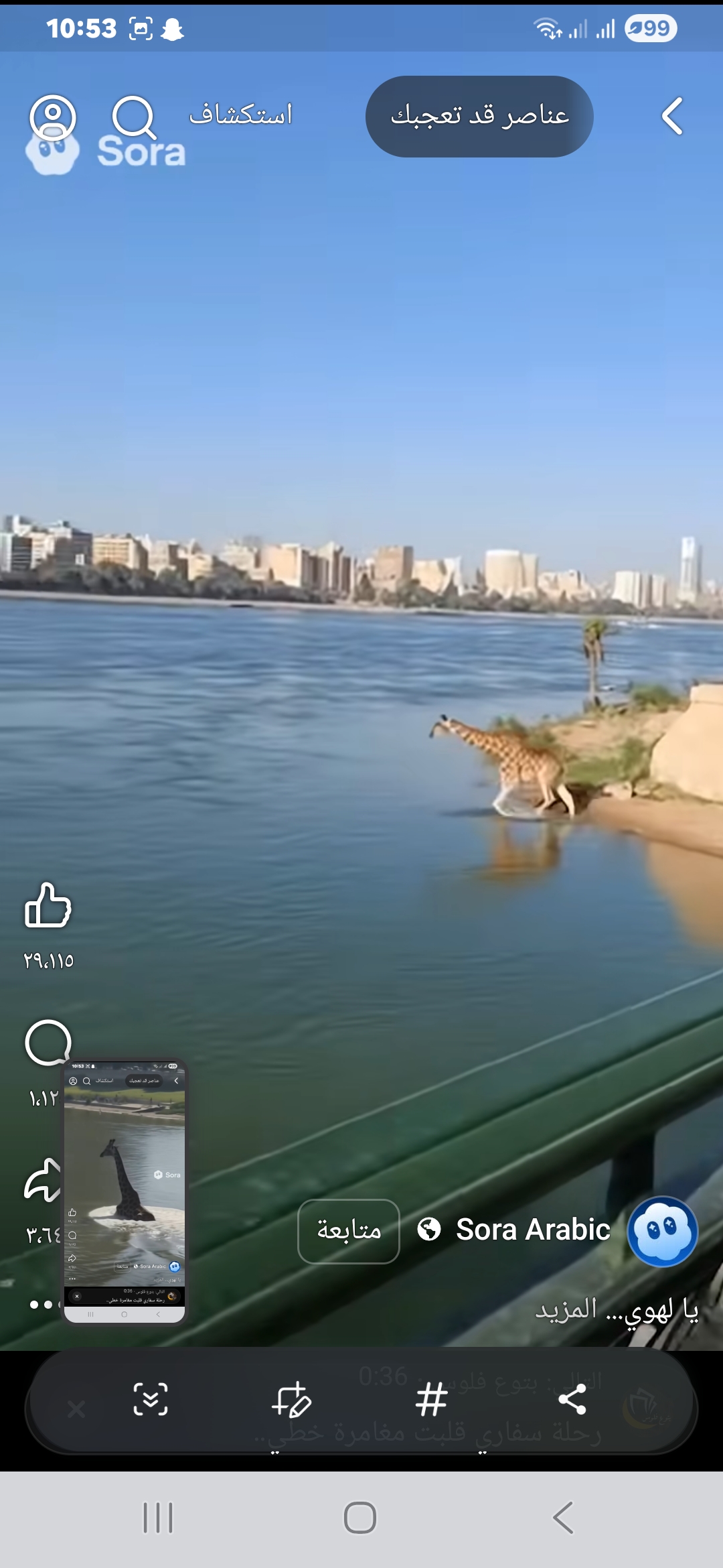 هروب زرافة وغرقها بالنيل الحقيقة الكاملة وراء الفيديو المنتشر
