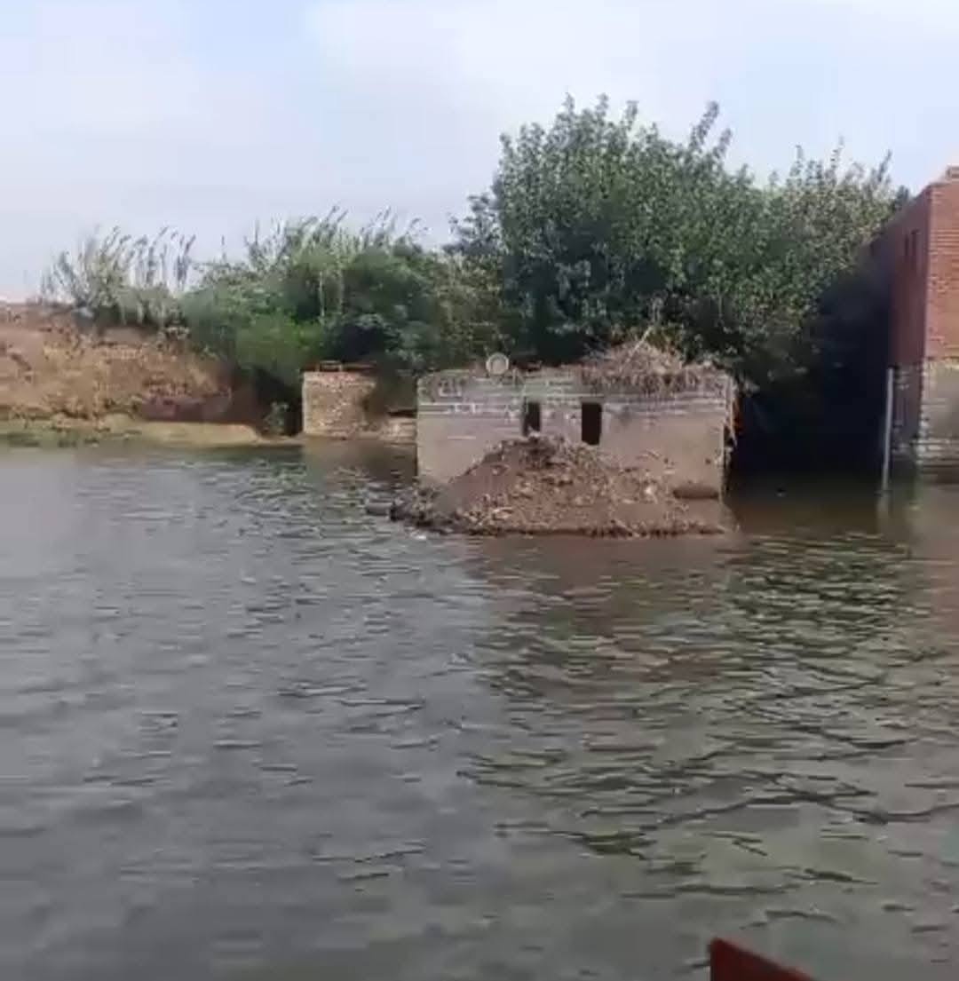 حقيقة غرق المنوفية والبحيرة بسبب فيضان النيل.. الحكومة توضح وتتخذ إجراء