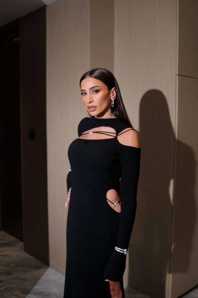 سر جمال الفنانة دينا الشربيني&nbsp;