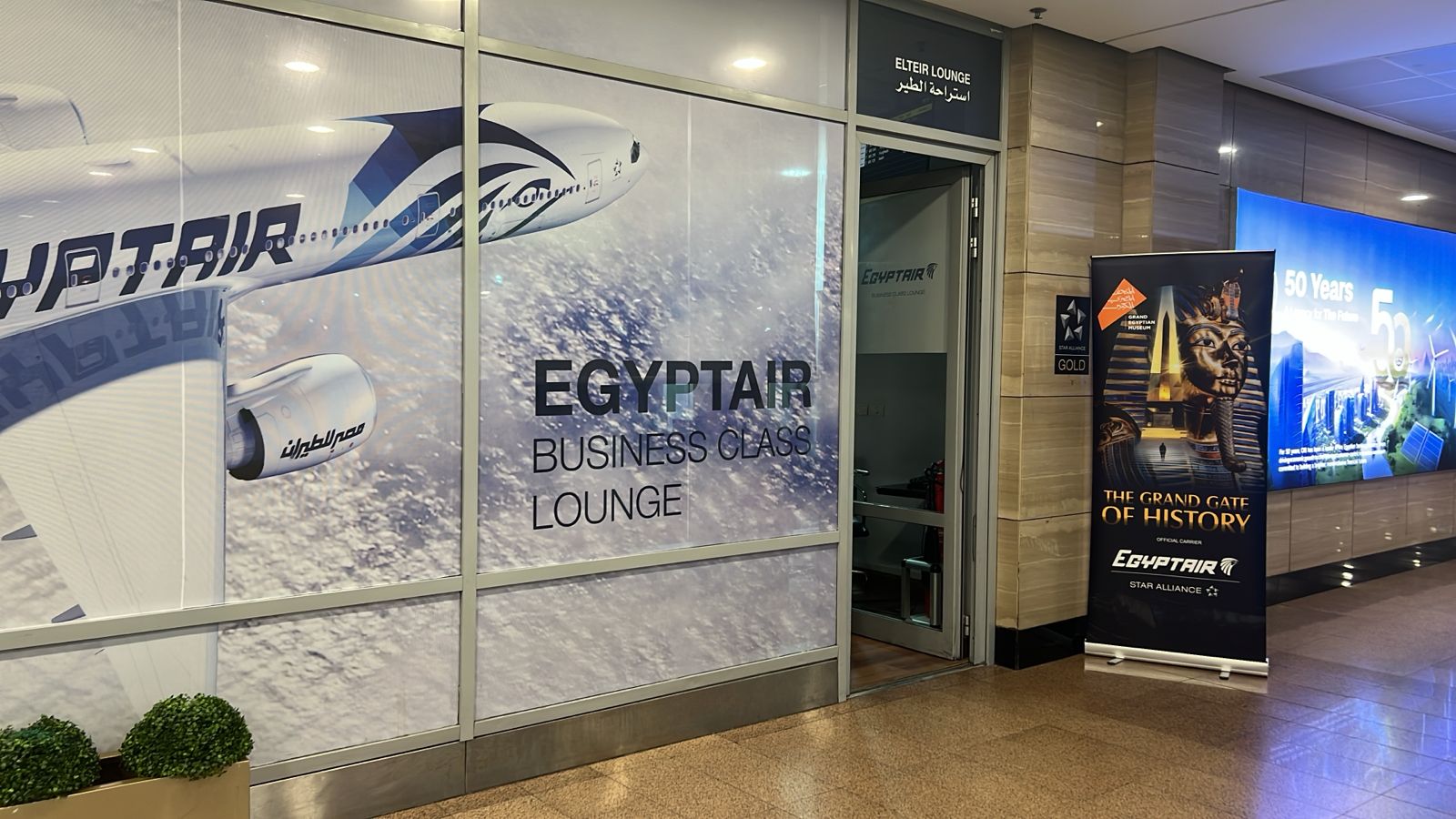 حملة دعاية دولية مصر للطيران تحلق بطائرة مزينة بالكامل بشعار المتحف حول العالم.. صور