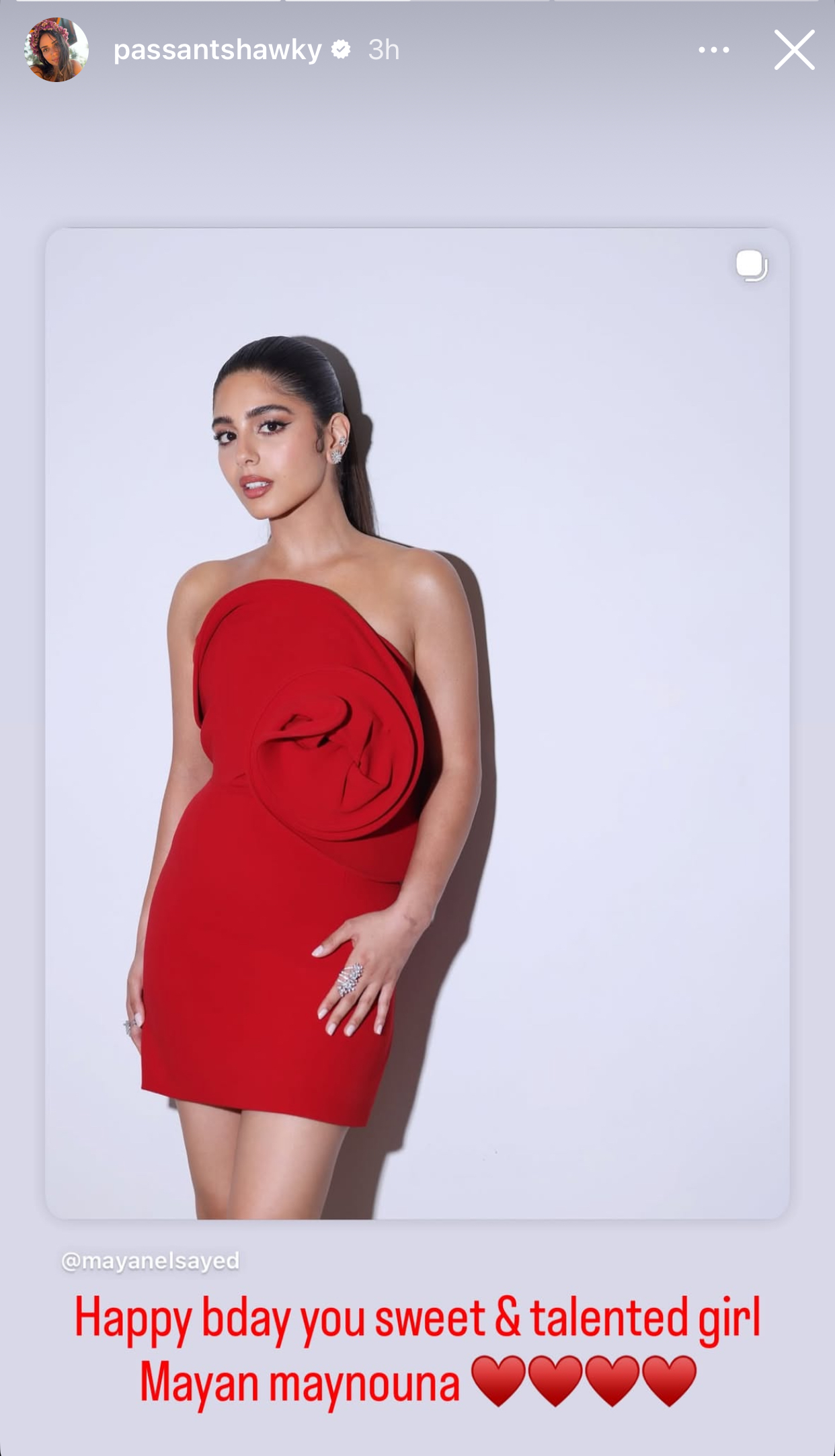 مايان السيد تحتفل بعيد ميلادها وسط الطبيعة و بسنت شوقي تهنئها