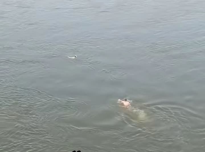 IMG-20250510-WA0025_691_081907.jpg