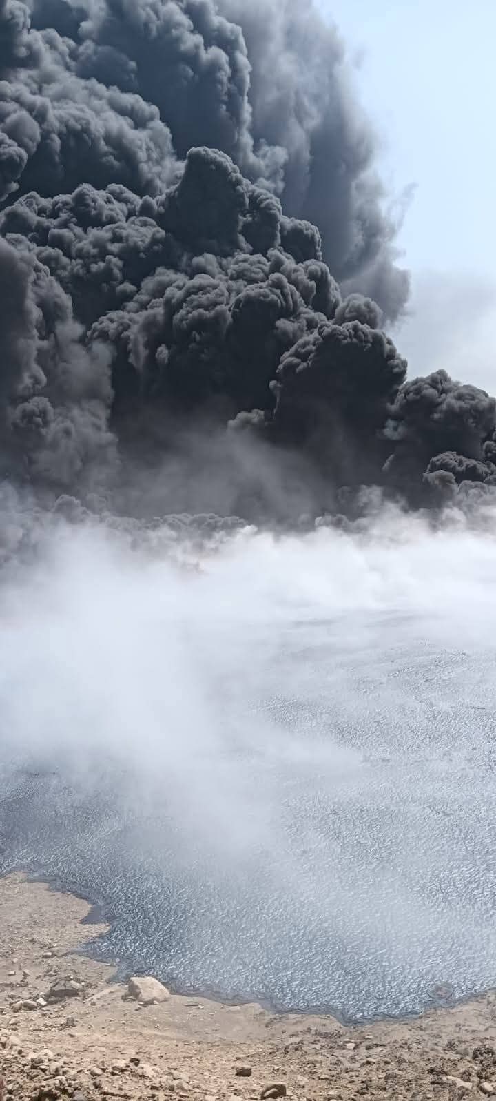 1000426359_793_090002.jpg
