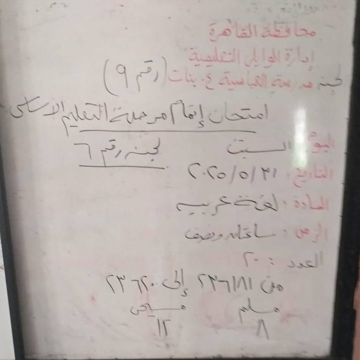 501067960_1222316002_609_013052.jpg