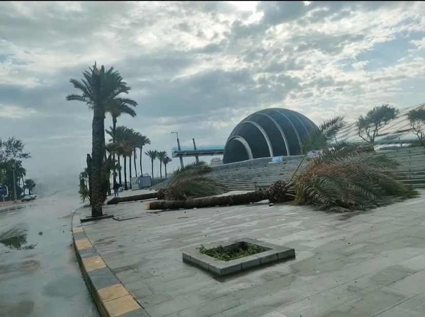 لا أحد ينام في الإسكندرية .. ماذا حدث ليلا في عروس المتوسط؟ (صور وفيديو)