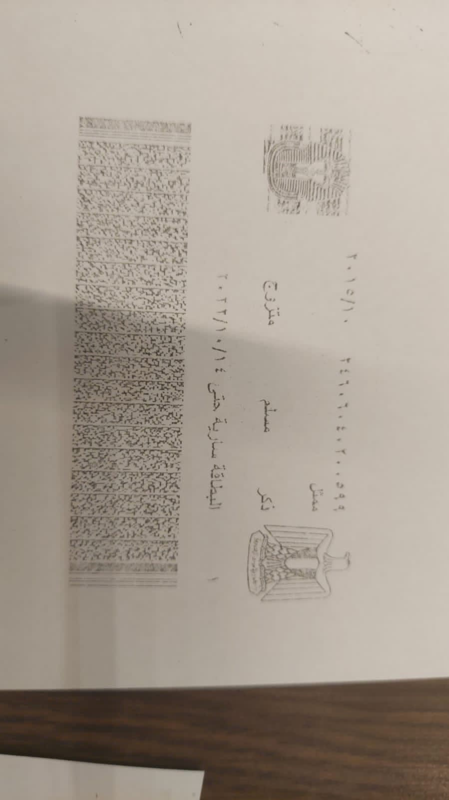 493945689_1222112695_1809_012830.jpg
