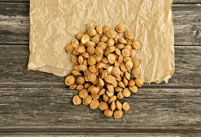 apricot-seeds-pits-c_595_112934.jpg