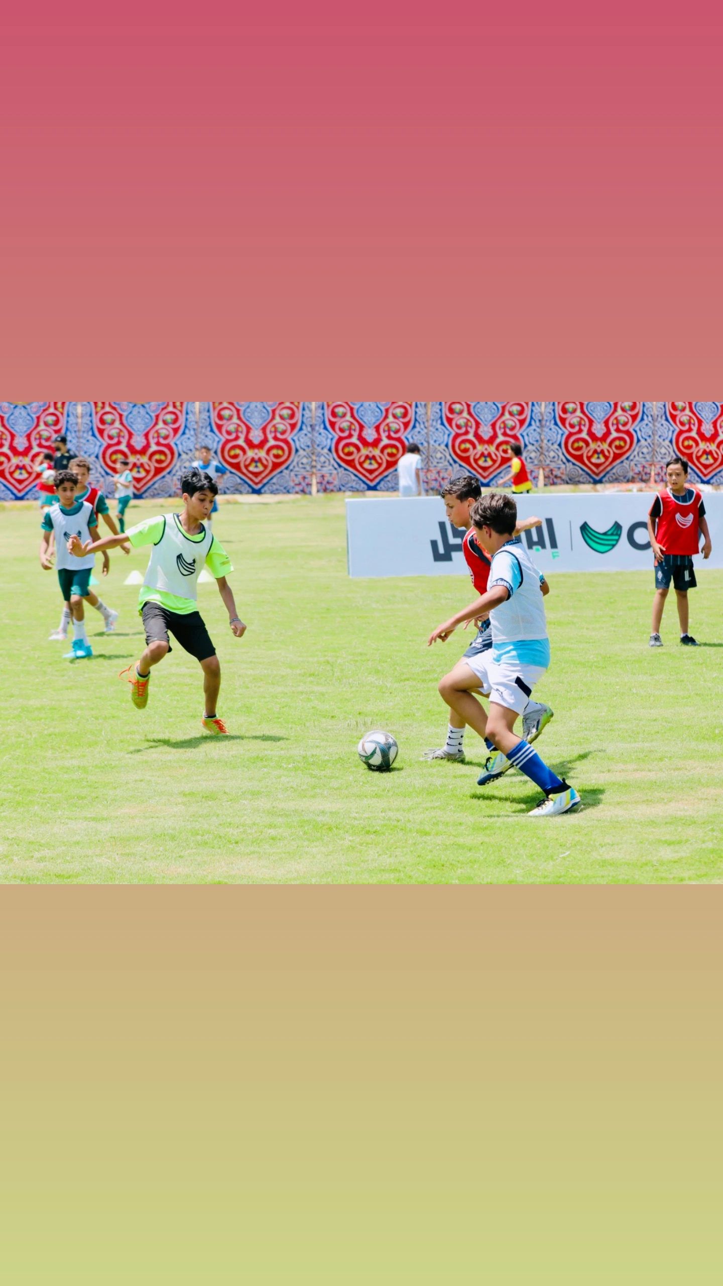 IMG_20250629_132748__757_013010.jpg