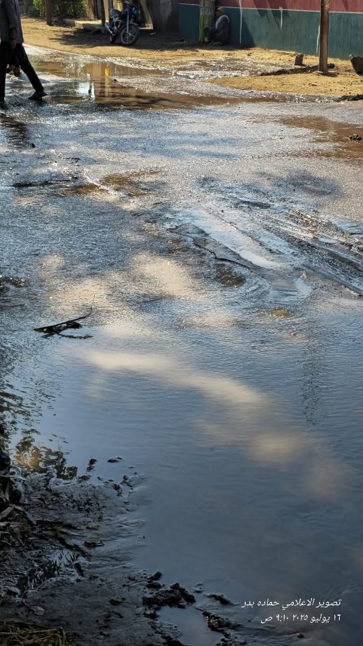 1000451558_686_010241.jpg