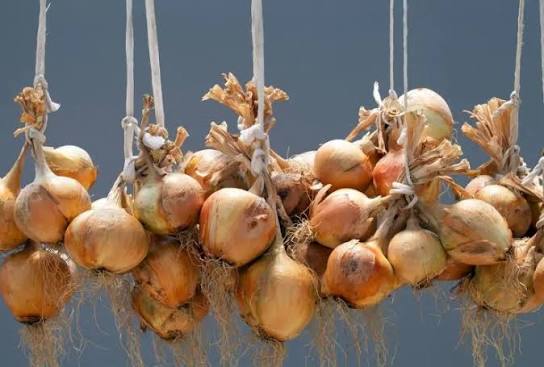 البصل بيطلع عروق بسرعة؟ 5 أخطاء تسرّع تلفه في المطبخ