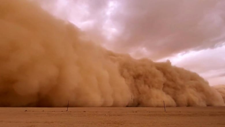 الأرصاد الجوية الجزائرية تحذر من عاصفة رعدية تضرب 16 ولاية بالبلاد
