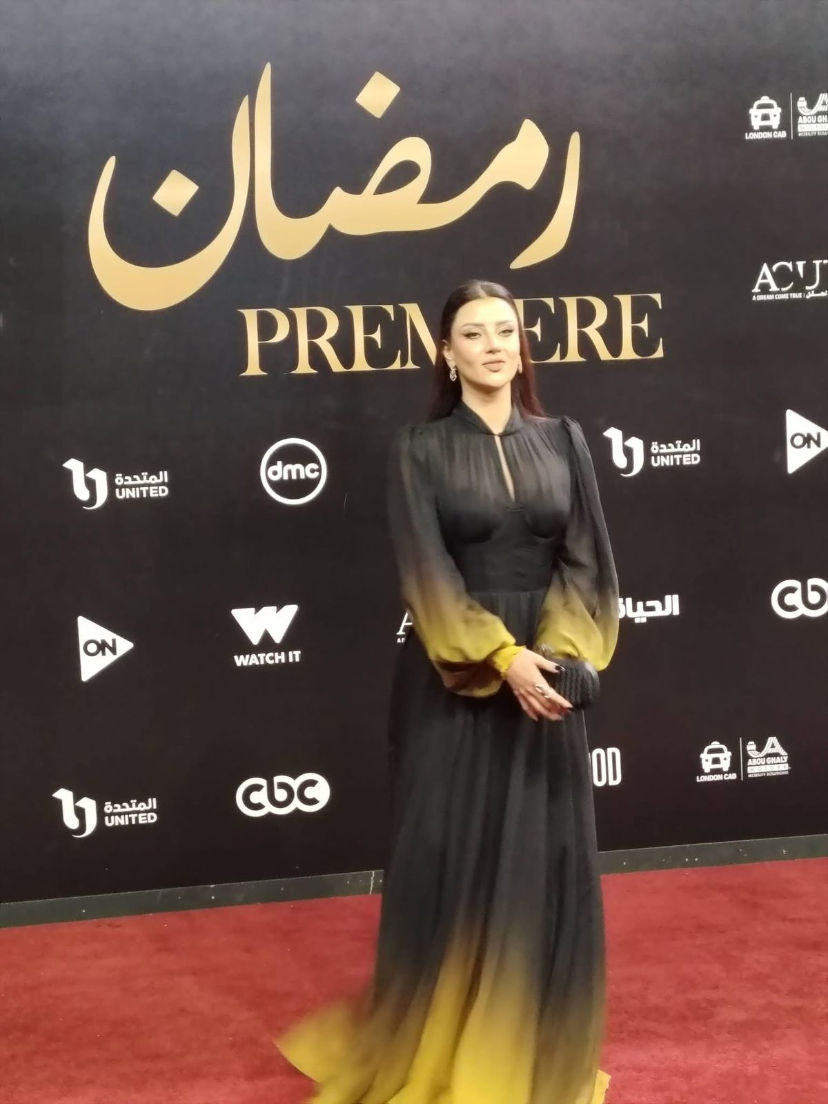 調教彼氏 女尊男卑な西野翔