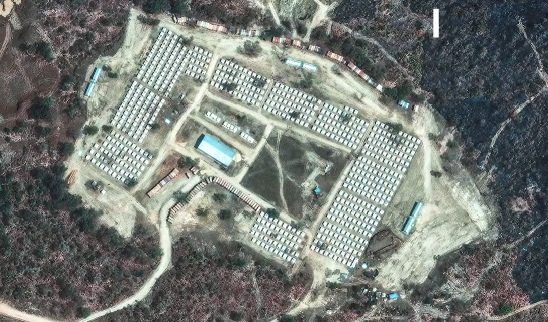 %D8%AA%D9%84%D8%A8%D9%8A%D8%A7%D9%8A%D8%