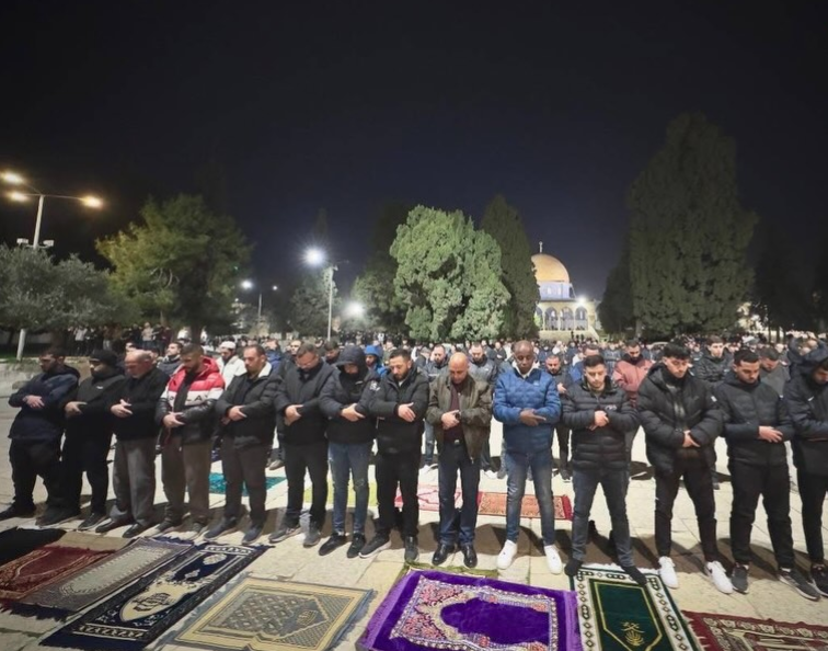 %D8%B3%D9%82%D9%82%D8%B5%D9%84_860_08475