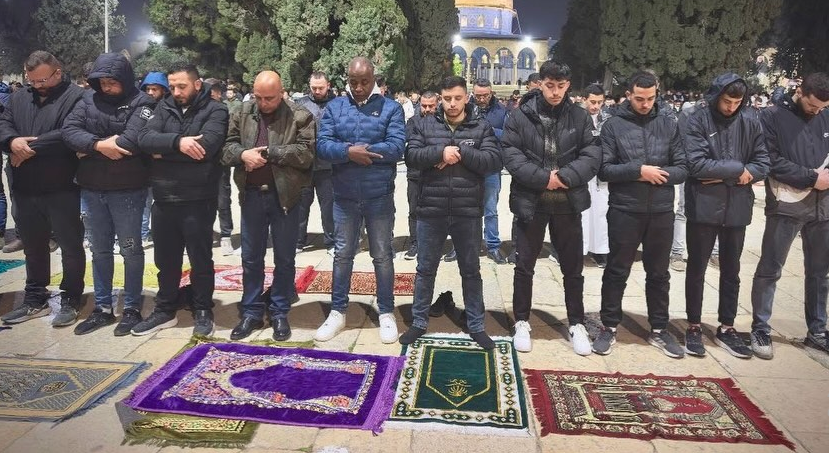 %D8%B5%D8%AB%D9%84%D9%84%D8%A7%D9%84_860