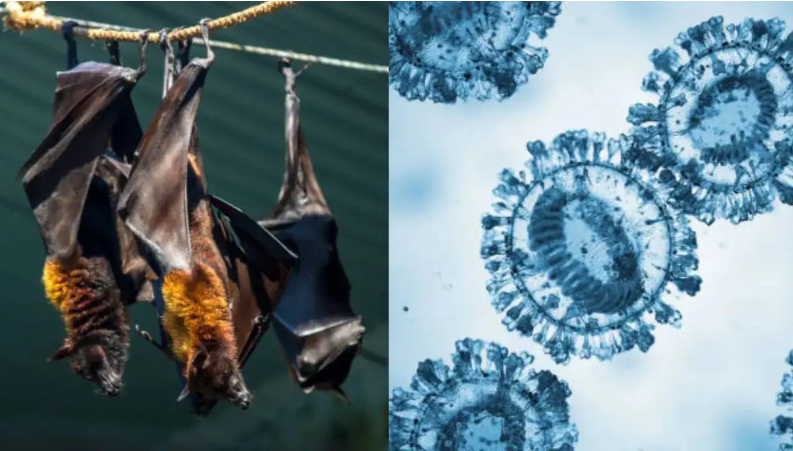 %D9%86%D8%AA%D8%A7%D8%BA%D9%86%D9%87%D8%