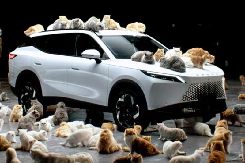 %D8%B9%D8%B4%D8%B1%D8%A7%D8%AA-%D8%A7%D9