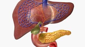 %D8%A7%D9%84%D9%83%D8%A8%D8%AF_620_08432