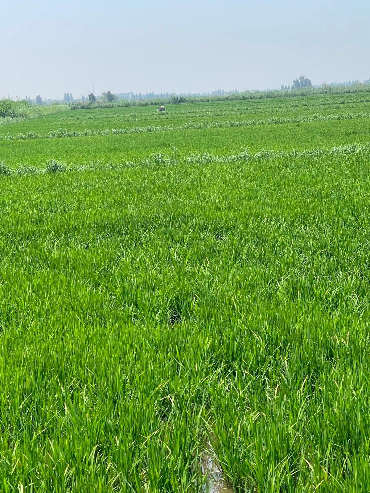 1000567879_709_021612.jpg