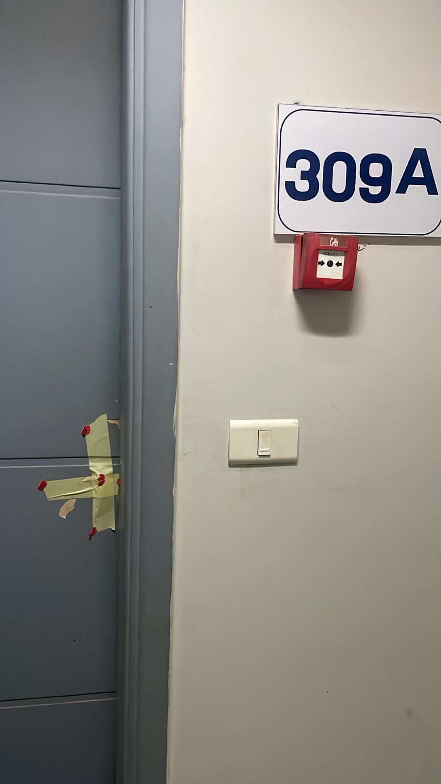 1001776887_569_102311.jpg