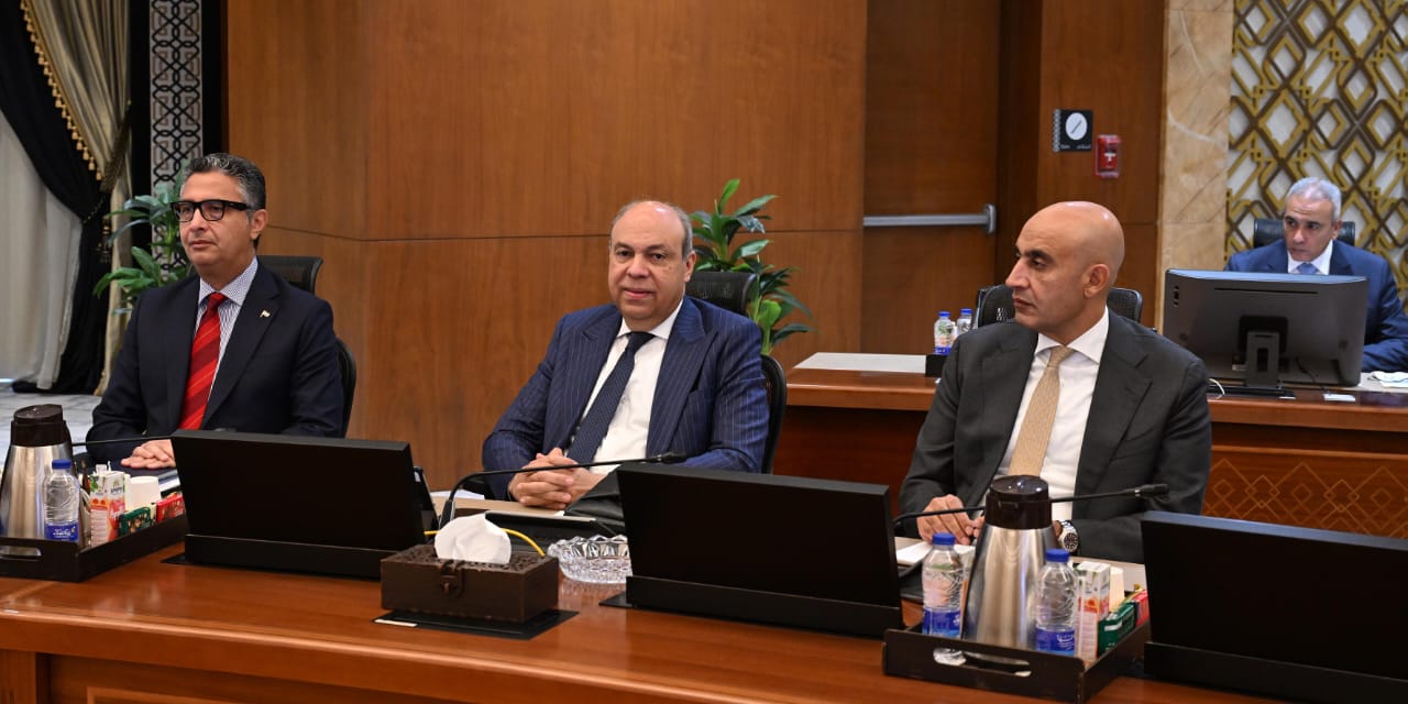 مجلس الوزراء يحسم 10 قرارات جديدة.. تفاصيل خطة ملكية الدولة والأجور والاستثمار - مجلس الوزراء يحسم 10 قرارات جديدة.. تفاصيل خطة ملكية الدولة والأجور والاستثمار | صورة حصرية من موقع مصر 24